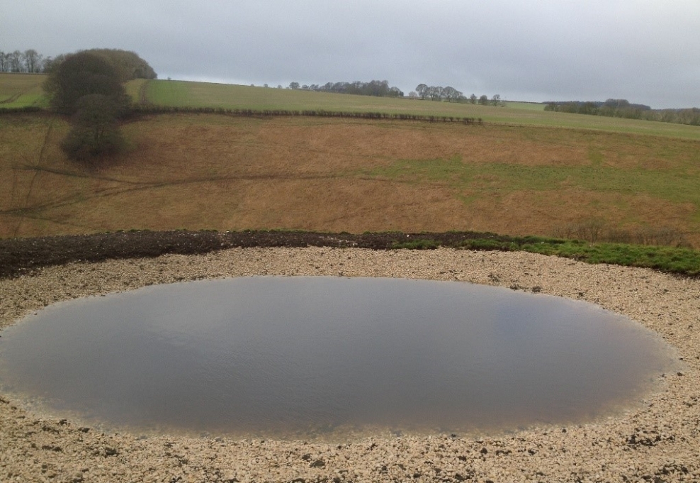 Restoring and managing dew ponds Yorkshire Wildlife Trust